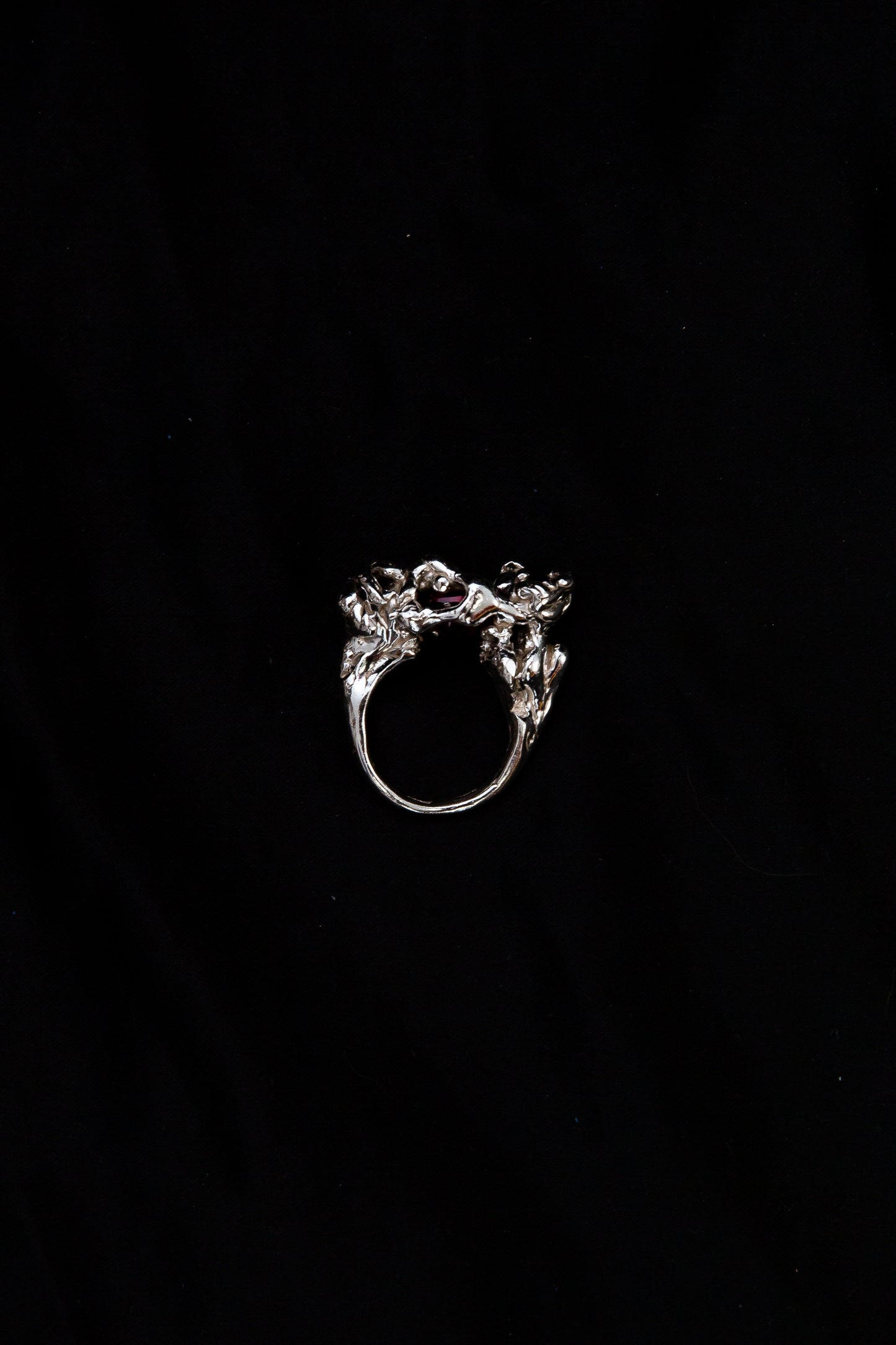 The Fluid Mosaic Ring 2