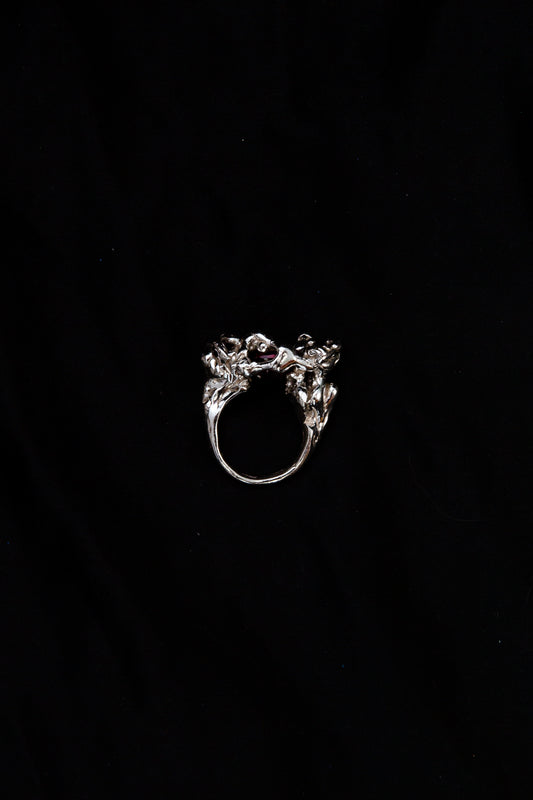 The Fluid Mosaic Ring 2