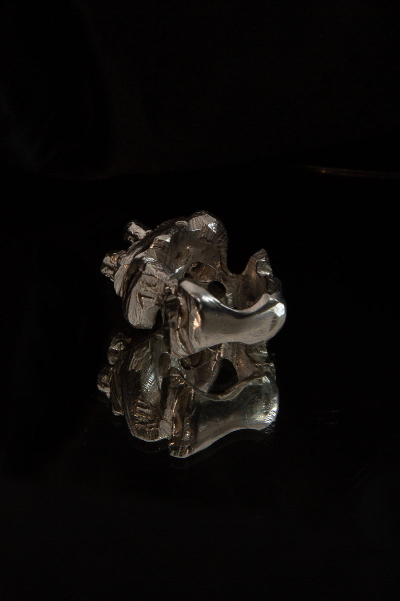 Active Transport Ring