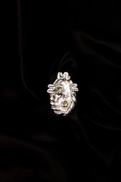 Metaphase Ring [ M 1/2]