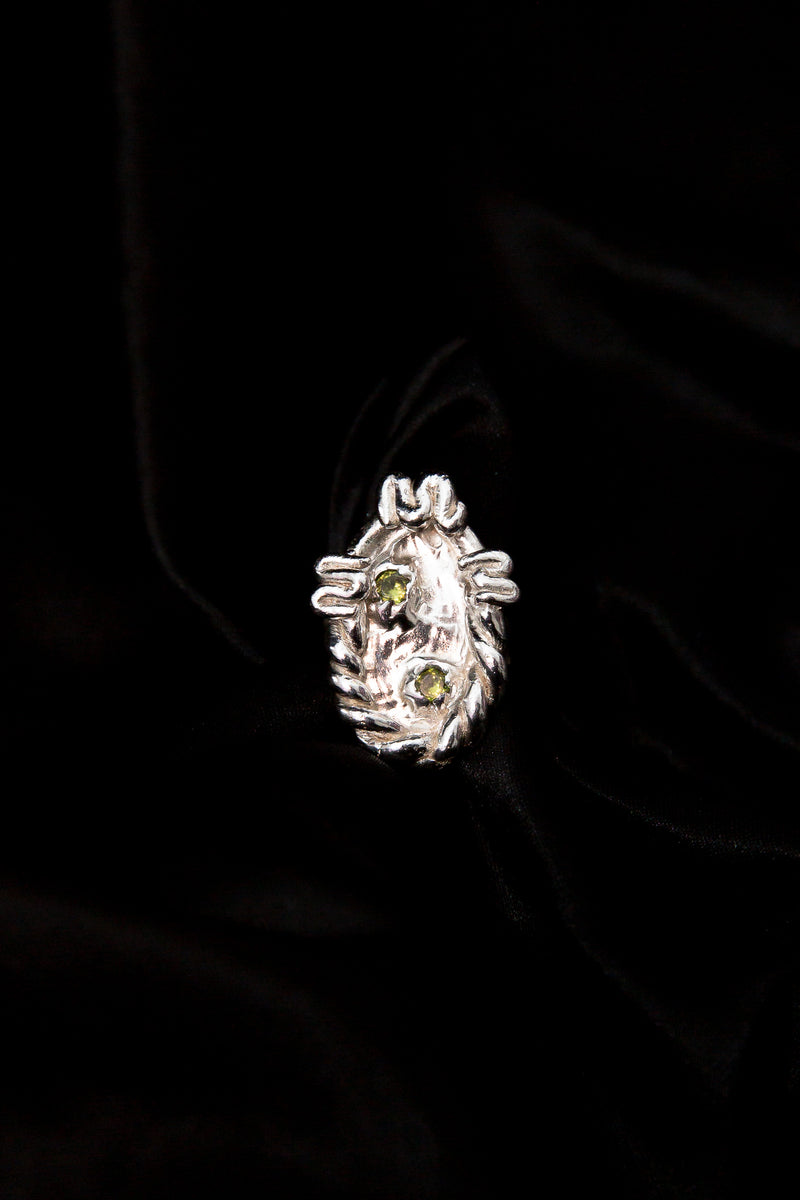 Metaphase Ring [ M 1/2]