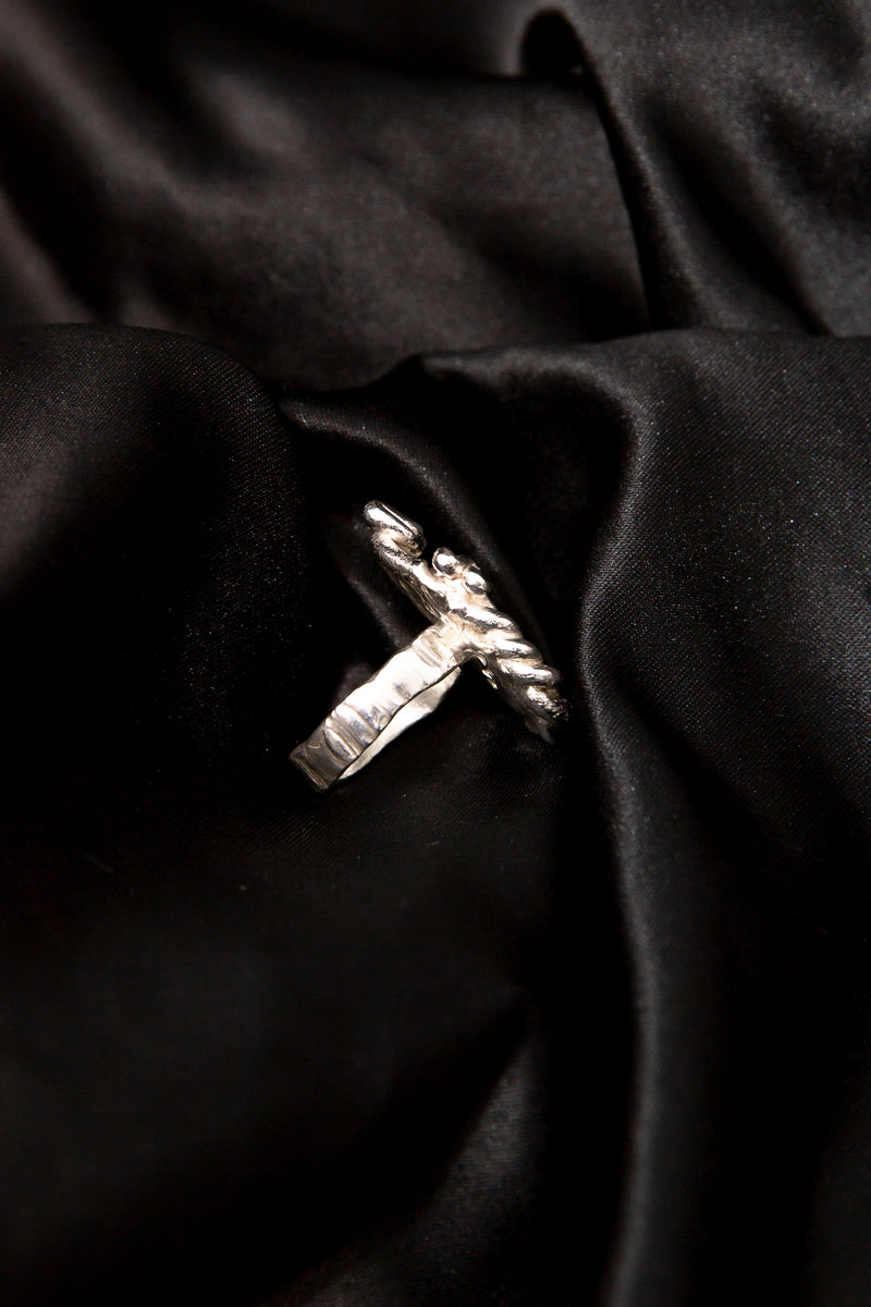 Metaphase Ring [ M 1/2]