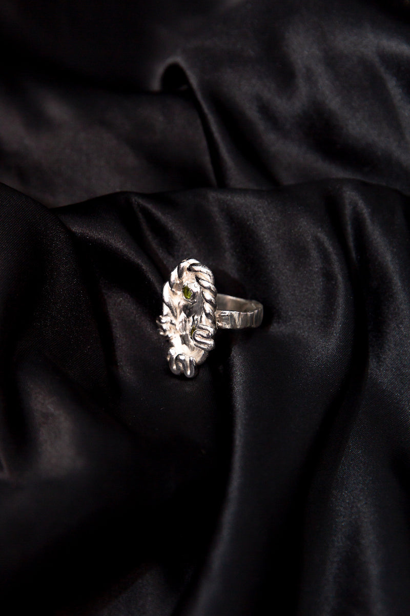 Metaphase Ring [ M 1/2]